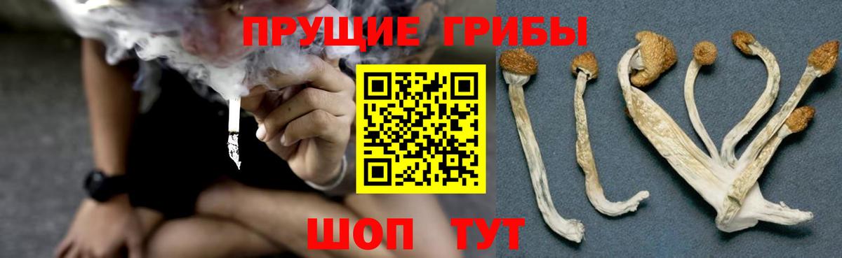 Кандалакша  Галлюциногенные грибы GOLDEN TEACHER  Вход с VPN  Псилоцибиновые грибы Magic Shrooms 
